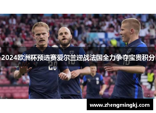 2024欧洲杯预选赛爱尔兰迎战法国全力争夺宝贵积分